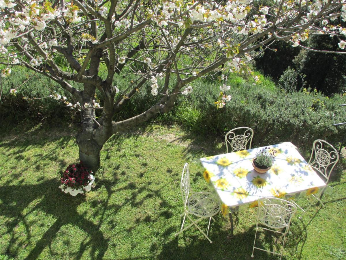 5 Terre - B&B La Giuditta - La Spezia Zewnętrze zdjęcie