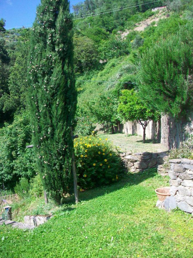 5 Terre - B&B La Giuditta - La Spezia Zewnętrze zdjęcie