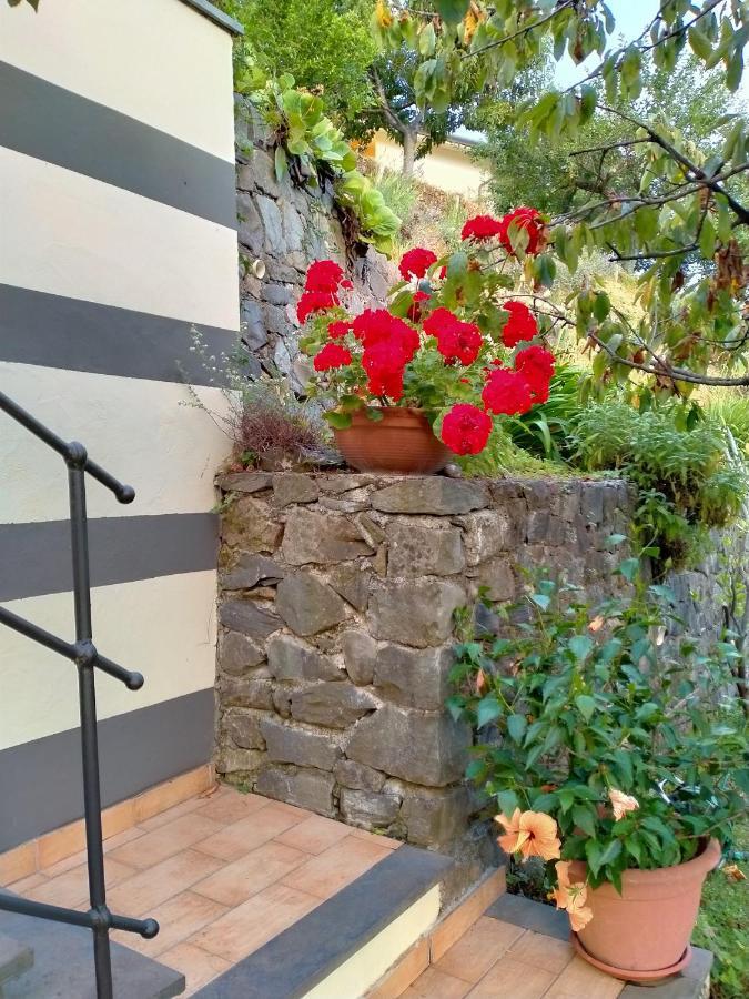 5 Terre - B&B La Giuditta - La Spezia Zewnętrze zdjęcie