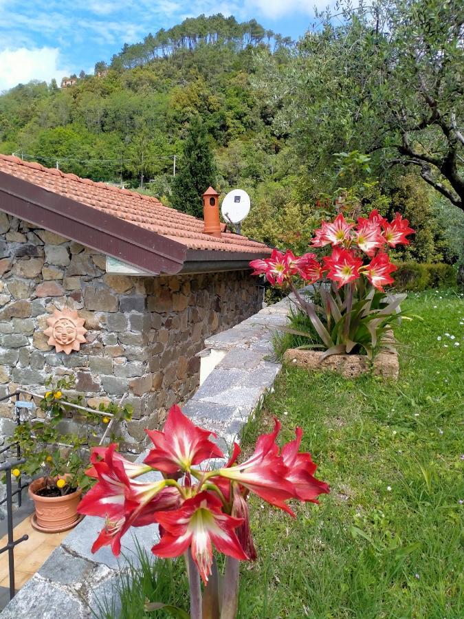 5 Terre - B&B La Giuditta - La Spezia Zewnętrze zdjęcie
